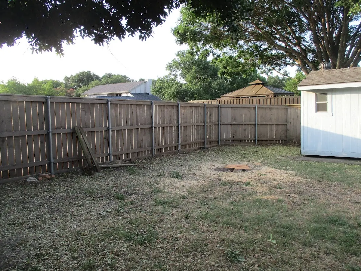 Cleared yard after professional tree removal in Woodville